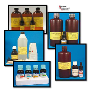 Embedding Media Kits-1-img-in-300x300