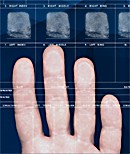 Papillon Live Scanner